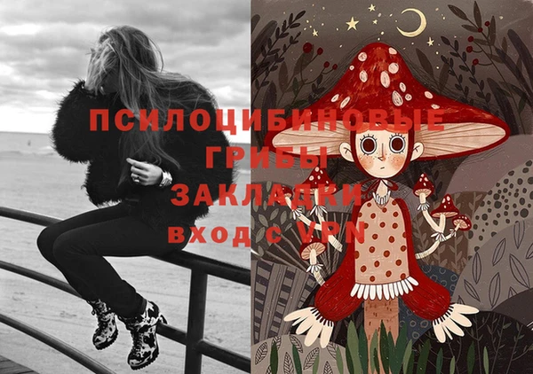 круглые Абаза