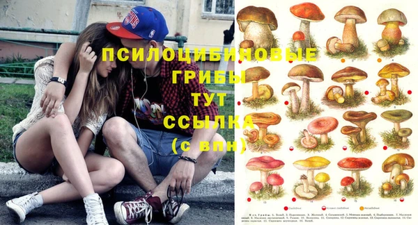 круглые Абаза