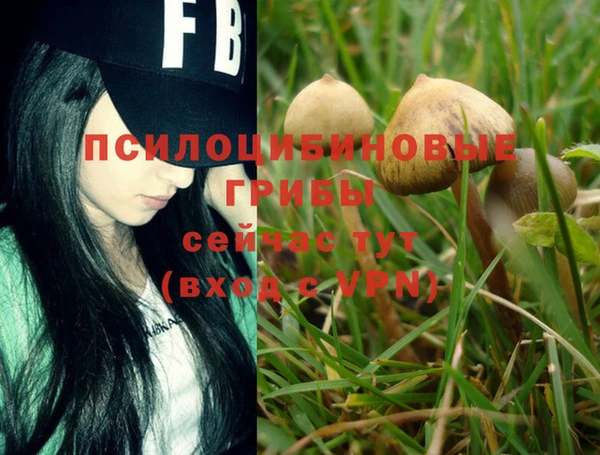 MESCALINE Абинск